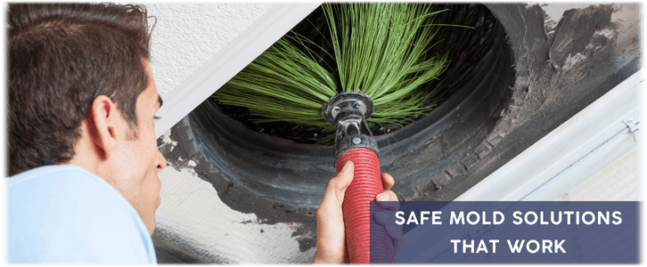 Air Duct Mold Removal in Alexandria VA