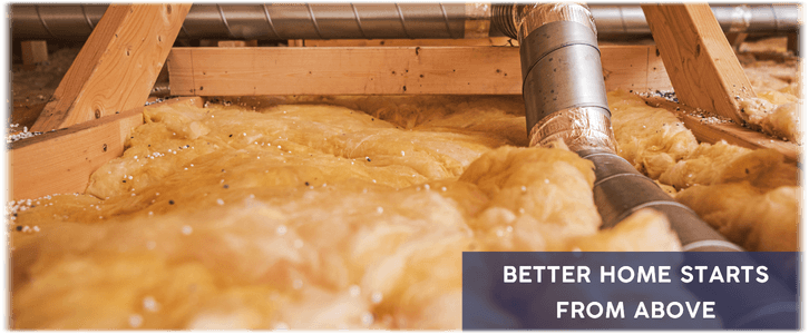 Attic Cleaning Alexandria VA