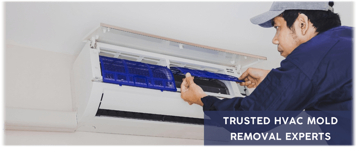 HVAC Mold Removal Alexandria VA
